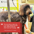 Load image into Gallery viewer, Dematting Rake Brush for Dogs and Cats
