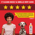Load image into Gallery viewer, 2-in-1 Dog Shampoo + Conditioner - Coconut Scented
