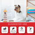 Load image into Gallery viewer, 2-in-1 Dog Shampoo + Conditioner - Coconut Scented
