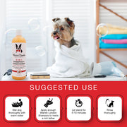 2-in-1 Dog Shampoo + Conditioner - Coconut Scented