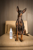 Load image into Gallery viewer, Instant Ear Cleaner For Dogs 12 oz or 1 gallon - Professional Size - Removes Wax and Odor
