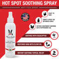 Load image into Gallery viewer, Southlake Paws Hot Spot Soothing Spray bottle with a white design, featuring eucalyptus and clove oil benefits, and usage ins
