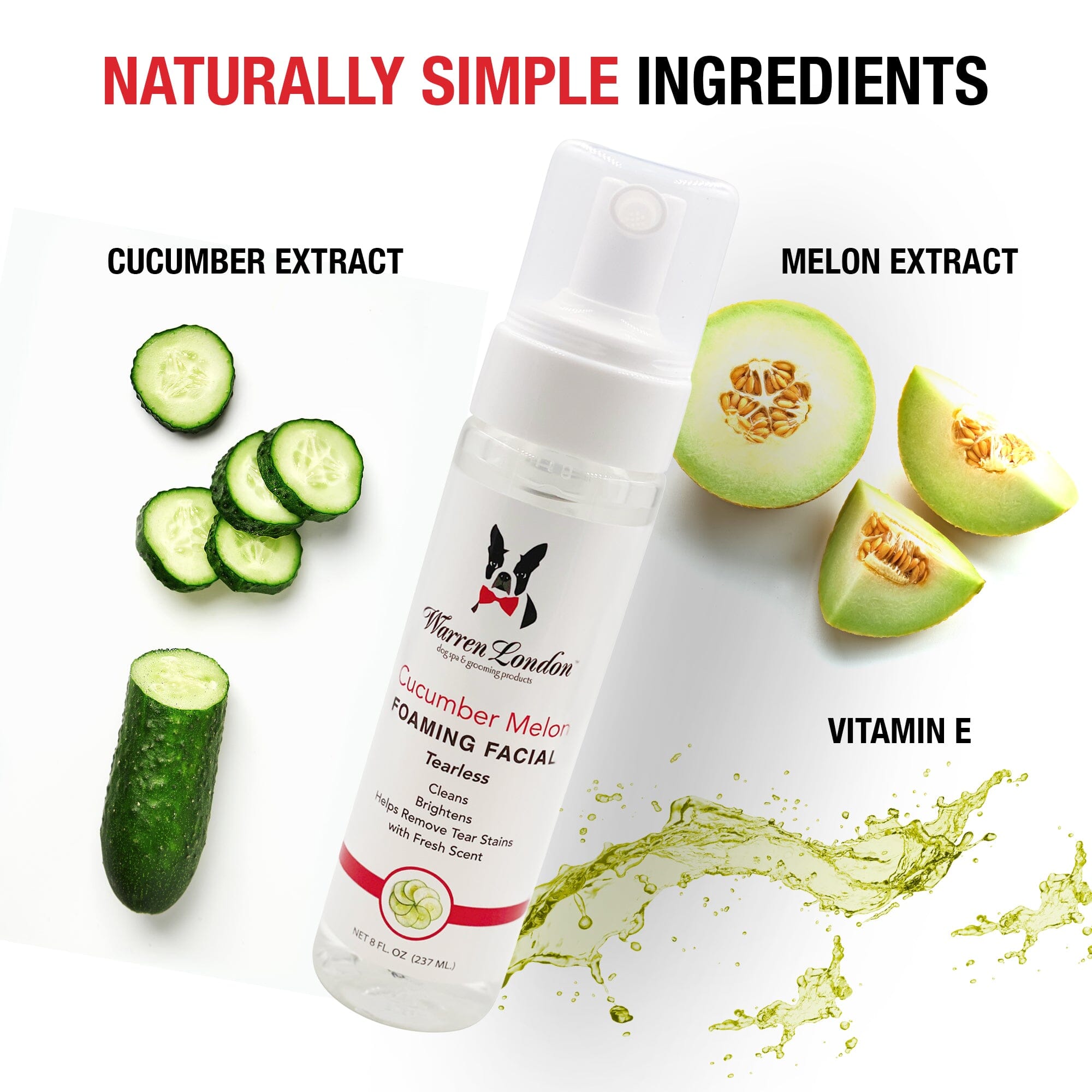 Cucumber Melon Foaming Facial - Professional Size - Refill 
