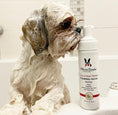 Load image into Gallery viewer, Cucumber Melon Foaming Facial For Dogs 
