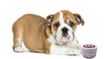 Load image into Gallery viewer, Hydrating Butter Balm - For Nose and Paws 
