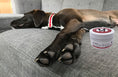 Load image into Gallery viewer, Hydrating Butter Balm - For Nose and Paws 
