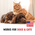 Load image into Gallery viewer, Dog Bitter Spray Anti-Chew - Anti-Lick
