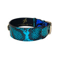 Load image into Gallery viewer, Electric/Turquoise Blue & Black Snake Classic Collar With Gold Classic Hardware
