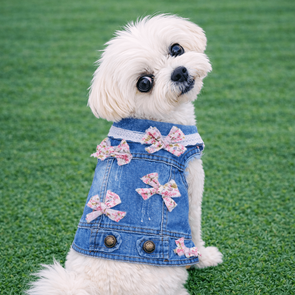 Blue Vest with Pink or Blue Mini Bows