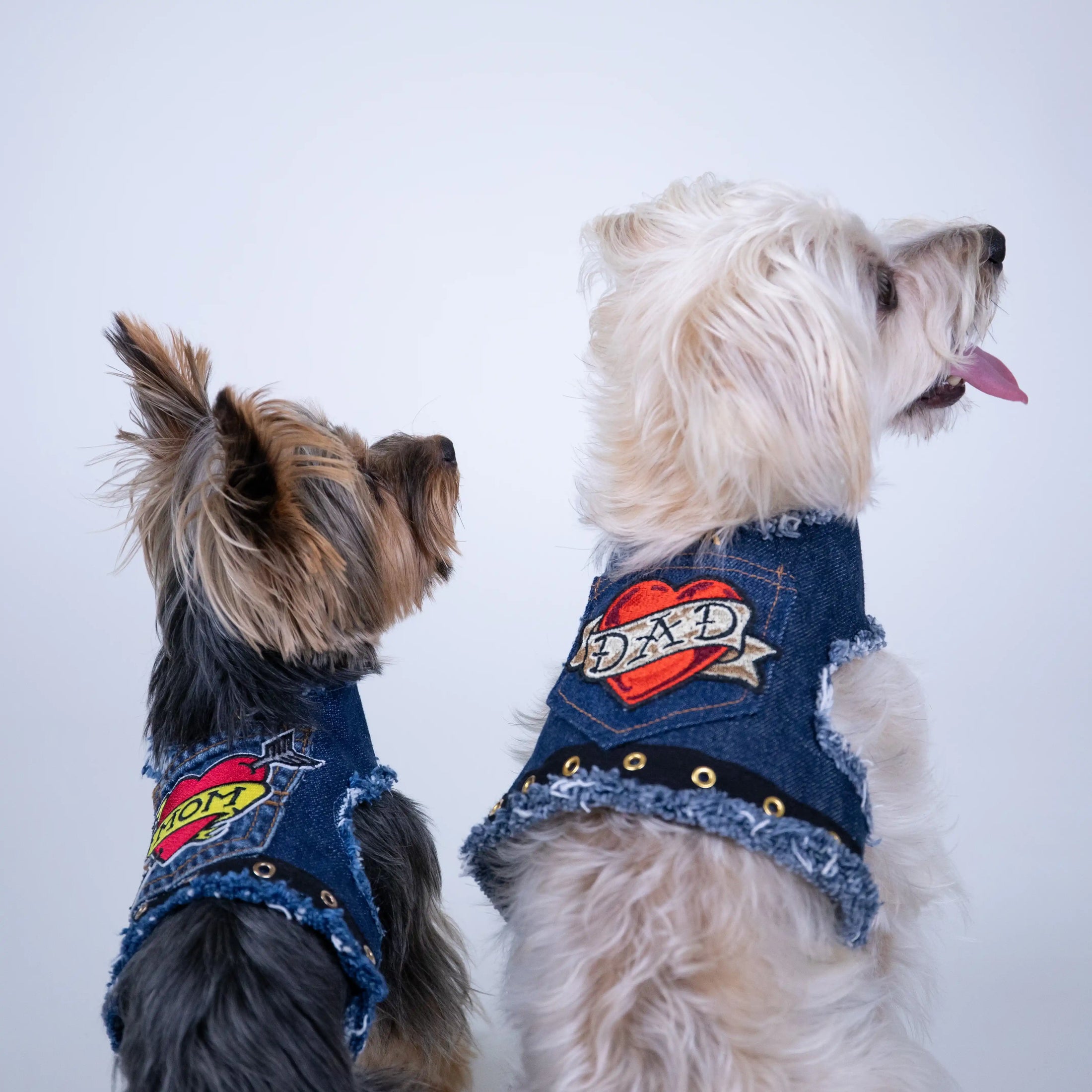 LOVE DAD Harness