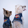 Load image into Gallery viewer, LOVE MOM Harness
