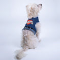 Load image into Gallery viewer, LOVE DAD Harness
