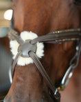 Load image into Gallery viewer, Gold Accented Figure 8 Bridle with Gold Browband
