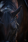 Load image into Gallery viewer, Ultraviolet Browband by Southlake Paws on a horse, featuring a sleek design with shimmering accents.
