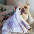 Load image into Gallery viewer, Sugar Plum Dog Blanket
