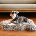 Load image into Gallery viewer, PupRug Faux Fur Orthopedic Dog Bed - Curve Charcoal Grey
