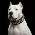 Load image into Gallery viewer, The ''Platinum'' collar
