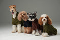 Load image into Gallery viewer, GLACIER PET SWEATER - OLIVE GREEN
