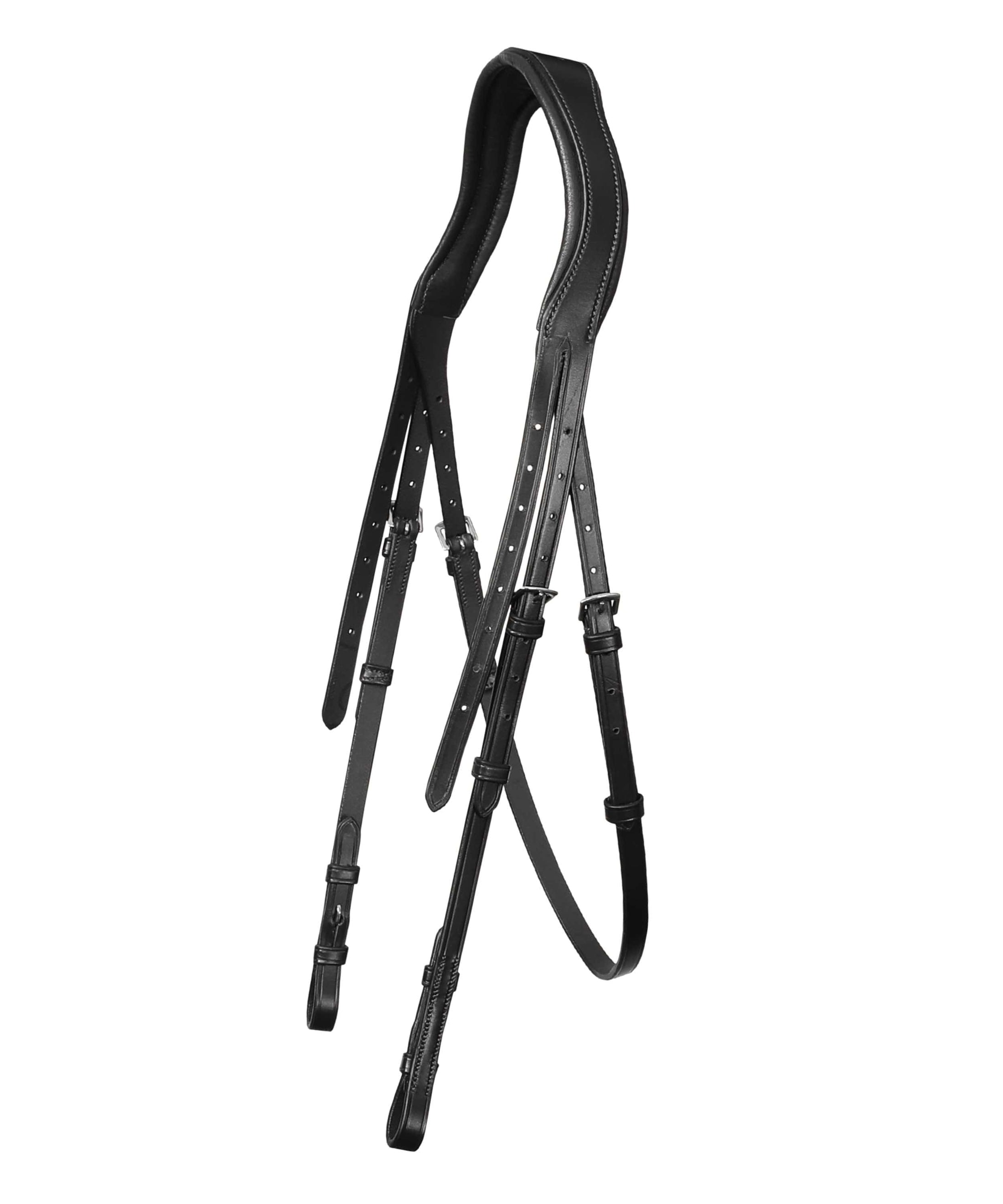ExionPro 'Leo' Dressage Bridle with Reins