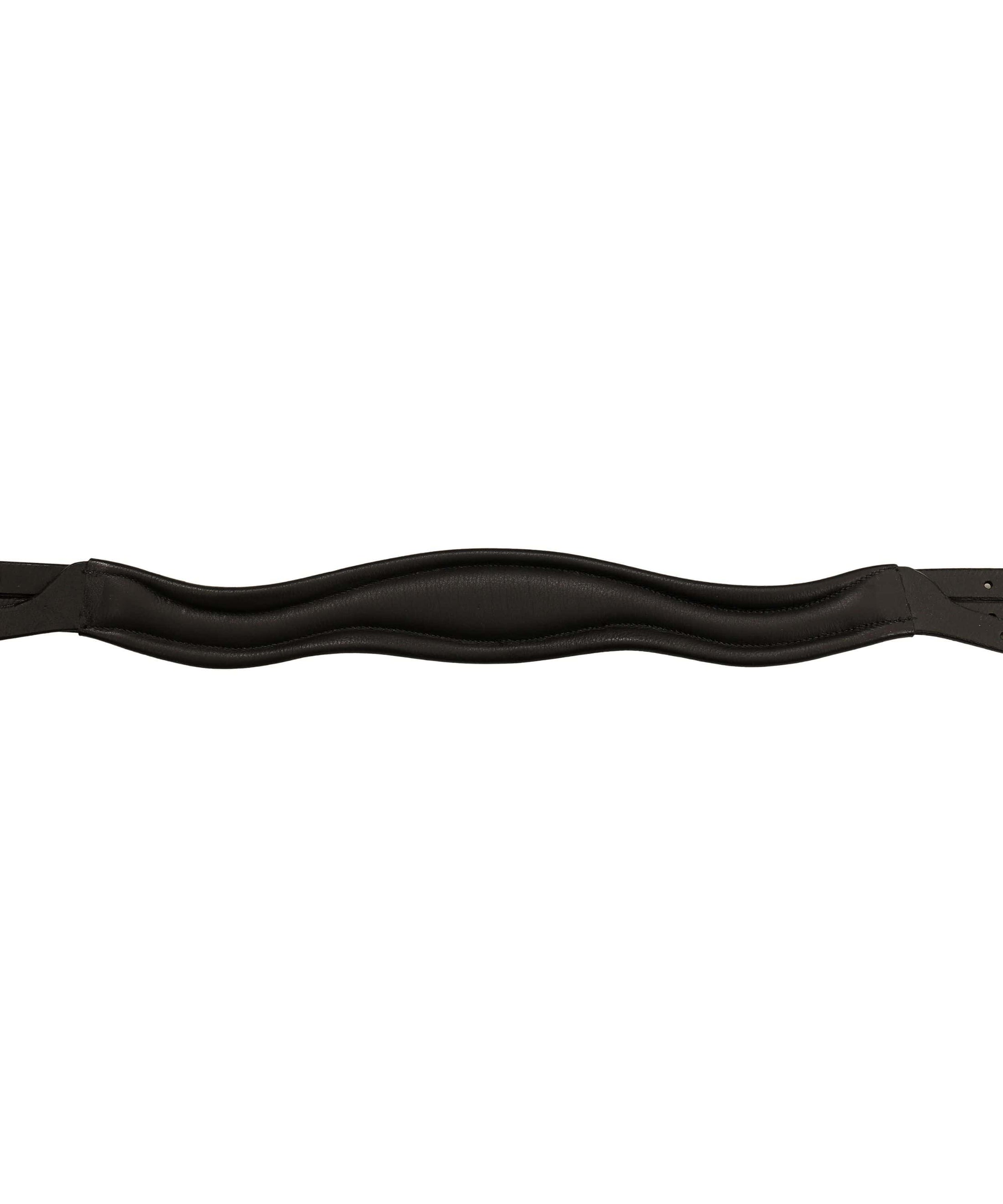 ExionPro W Shaped Crownpiece - Southlake Paws
