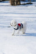 Load image into Gallery viewer, Sailor of My Heart Striped Turtleneck Sweater - Southlake Paws
