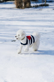 Sailor of My Heart Striped Turtleneck Sweater