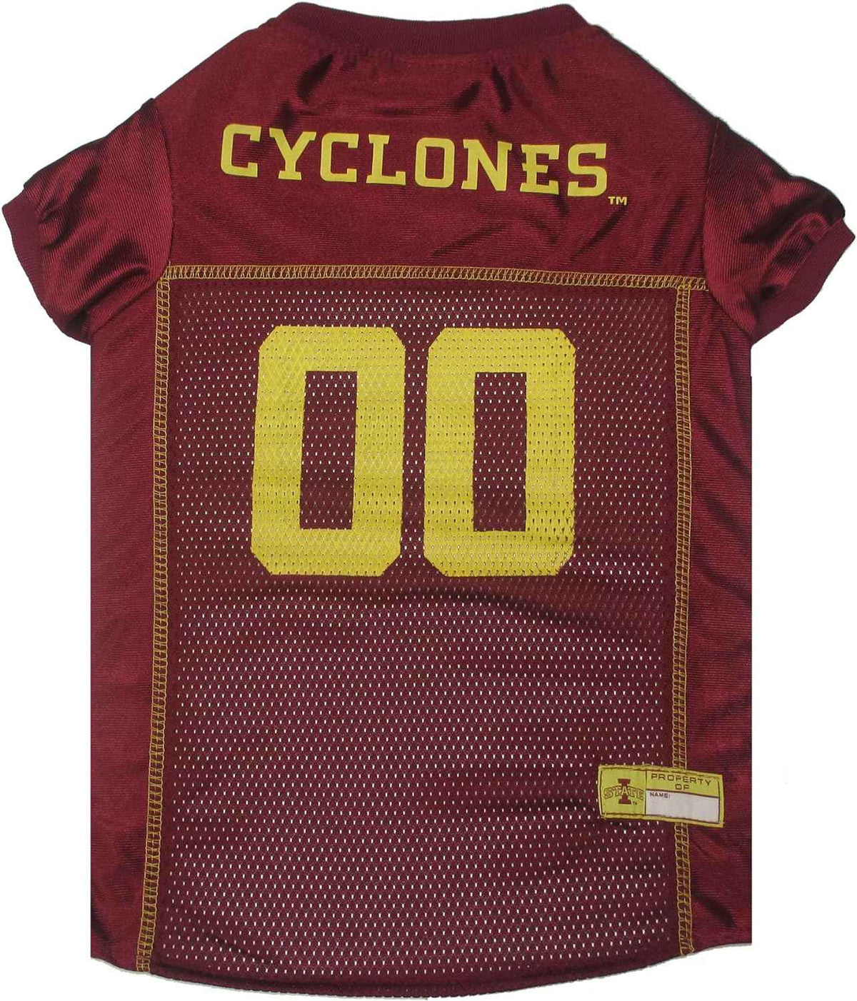 NCAA Iowa State Mesh Dog Jersey