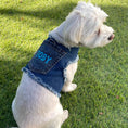 Load image into Gallery viewer, Personalized Denim Harness
