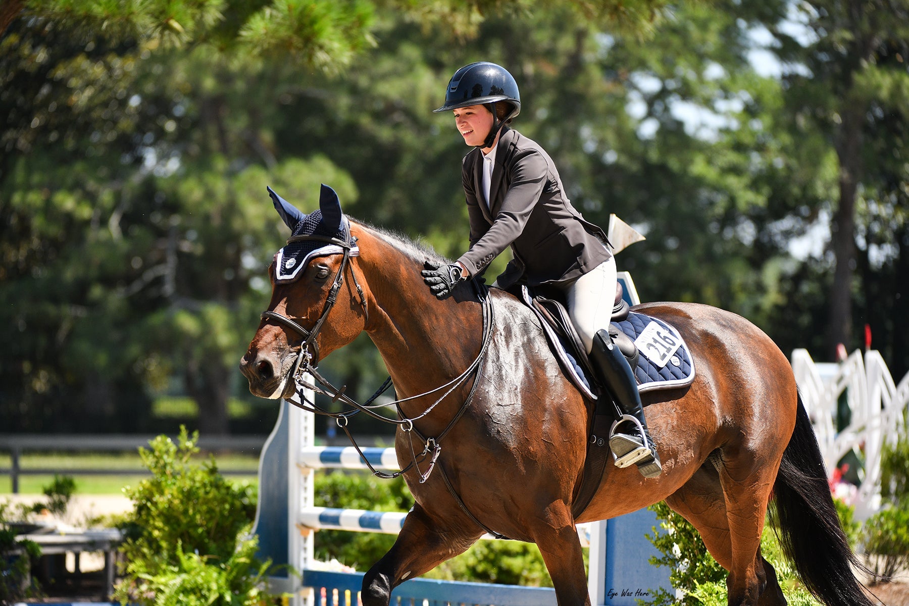Jump Saddle Pad | Navy