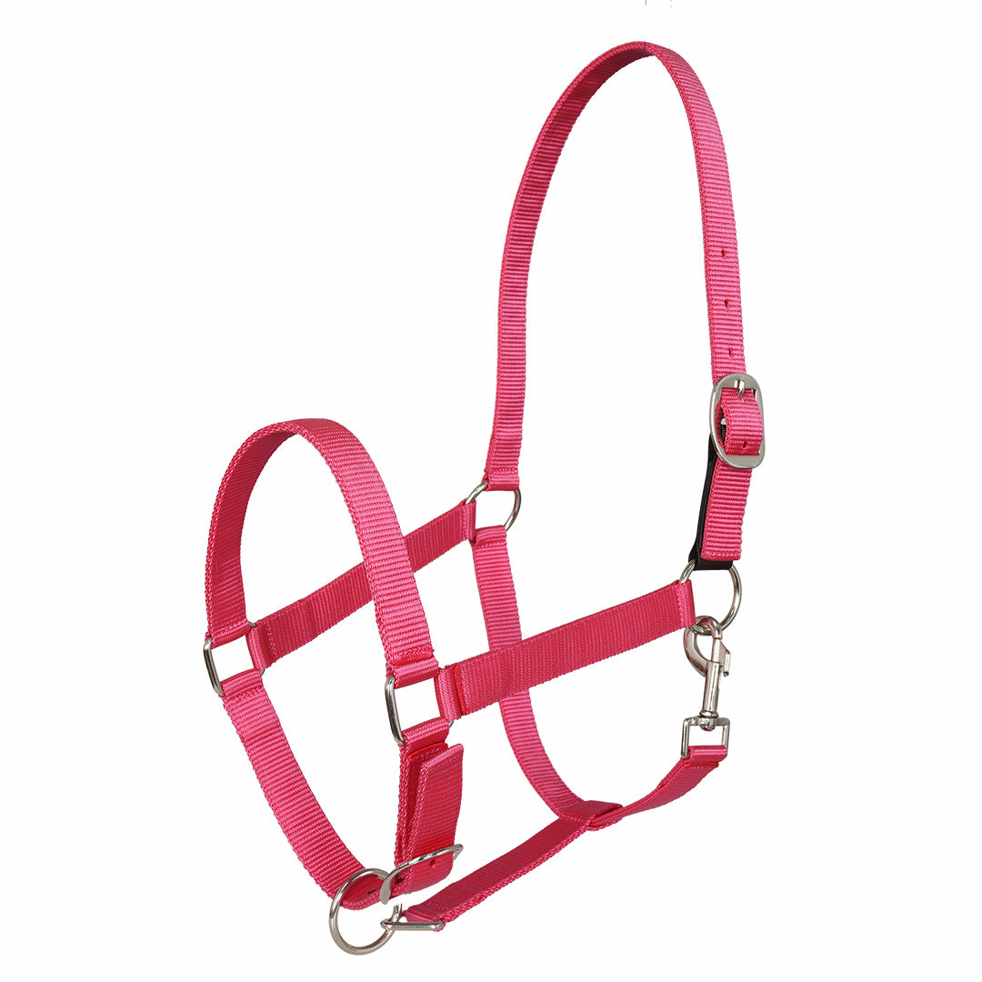 Miller's Adjustable Nylon Halter with Snap and Breakaway Leather - image 4