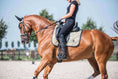 Load image into Gallery viewer, Champagne Saddle Pad
