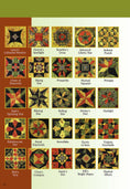 Load image into Gallery viewer, Penny Haren's Pieced Appliqué Intricate Blocks Made Easy
