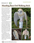 Load image into Gallery viewer, Carving Creative Walking Sticks and Canes
