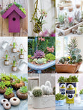 Load image into Gallery viewer, 50 Simple Indoor Miniature Gardens
