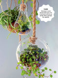 Load image into Gallery viewer, 50 Simple Indoor Miniature Gardens
