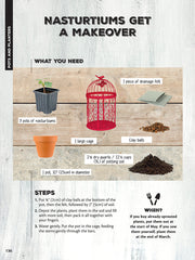 50 Simple Indoor Miniature Gardens