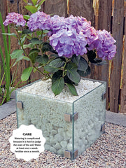 50 Simple Indoor Miniature Gardens