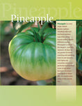 Load image into Gallery viewer, You Bet Your Garden Guide to Growing Great Tomatoes, Second Edition
