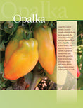 Load image into Gallery viewer, You Bet Your Garden Guide to Growing Great Tomatoes, Second Edition
