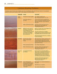 Load image into Gallery viewer, Understanding Wood Finishing, 3rd Revised Edition
