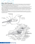Load image into Gallery viewer, Complete Guide to Bird Carving
