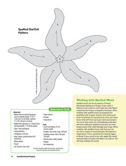 Seaside Intarsia Projects