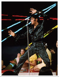 Load image into Gallery viewer, Story of Elvis
