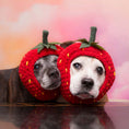 Load image into Gallery viewer, Sookie and Ivy Friends Forever!
