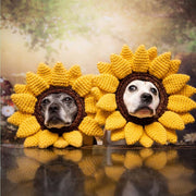 Sookie and Ivy Every Day Is a Celebration!