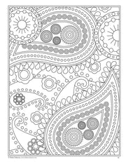 Boho Paisley Coloring Book