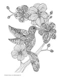 Load image into Gallery viewer, Creative Coloring Birds
