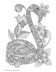 Creative Coloring Birds