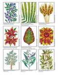 Load image into Gallery viewer, Creative Coloring Botanicals
