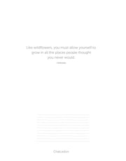 Creative Coloring Botanicals